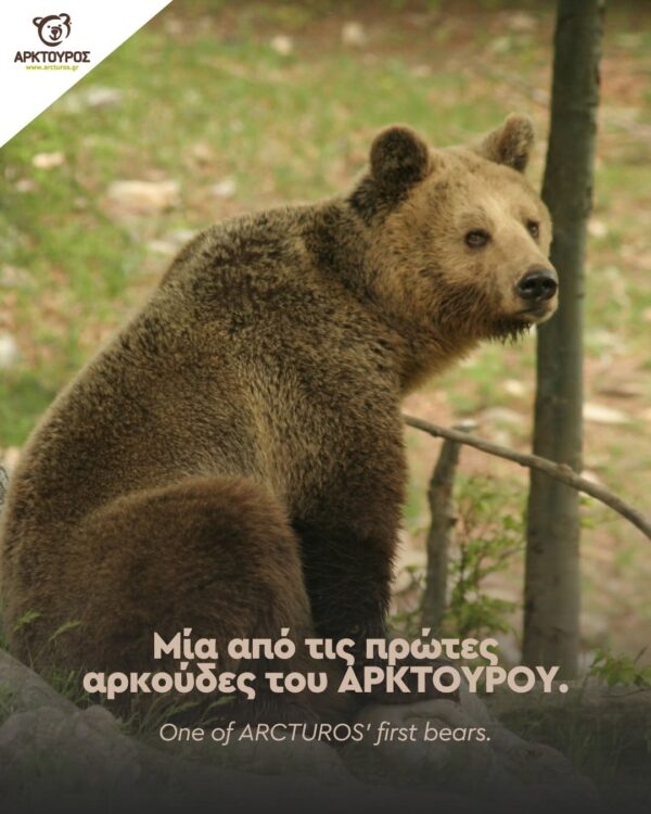 https://www.facebook.com/arcturosngo