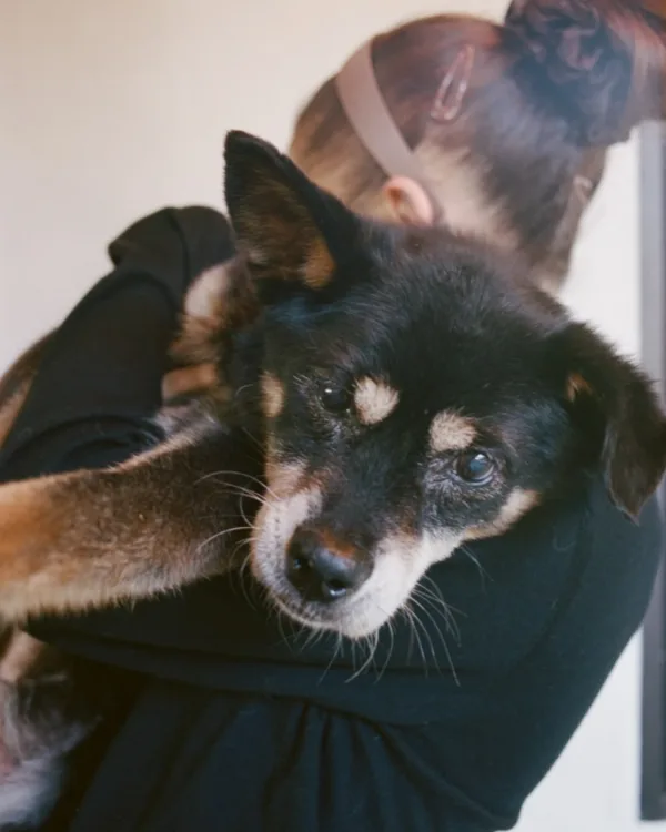 https://www.instagram.com/arianagrande/