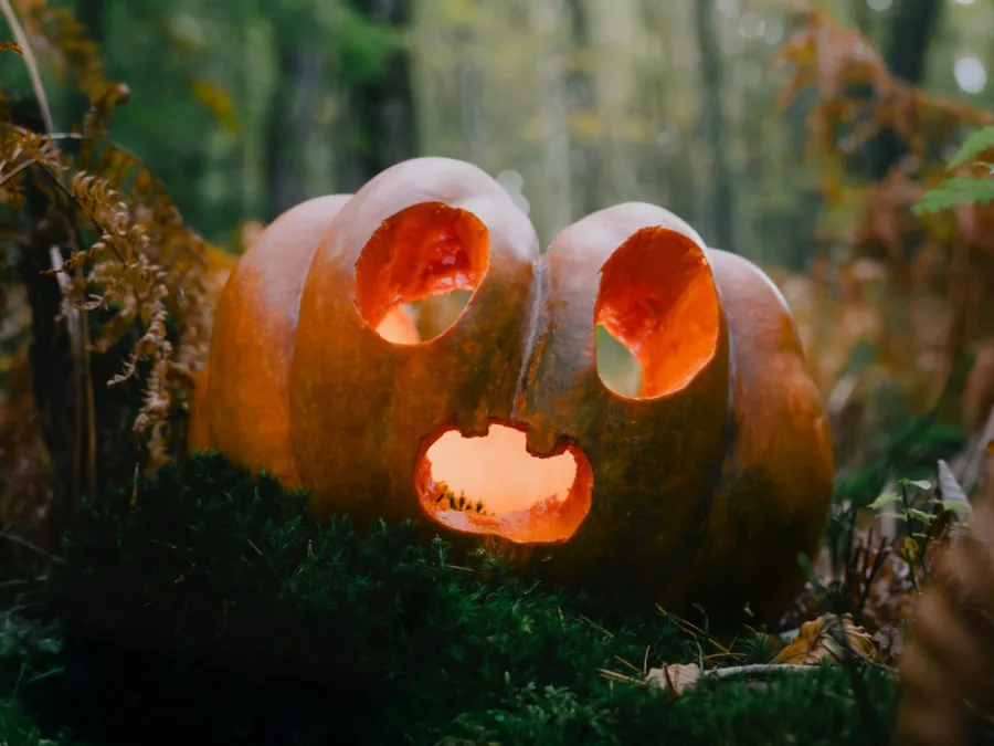 Ένα σκαλισμένο Halloween pumpkin με αναμμένο φως στο εσωτερικό του, τοποθετημένο σε ένα δασικό τοπίο με βρύα και φύλλα.