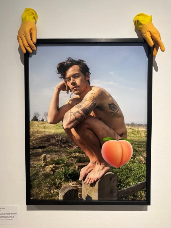 harry_styles_gymnos