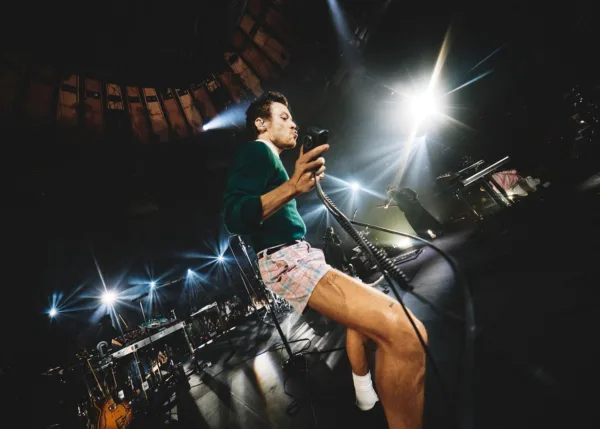 harry_styles_zwi