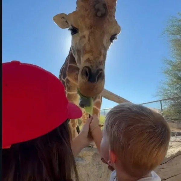 https://www.instagram.com/lilbieber