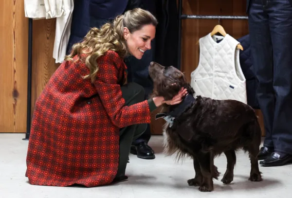 https://www.instagram.com/princeandprincessofwales/?hl=el