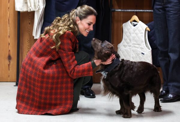 https://www.instagram.com/princeandprincessofwales/?hl=el