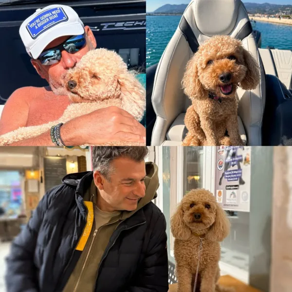 https://www.instagram.com/gliagas