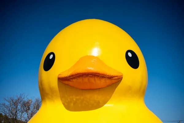 Unsplash