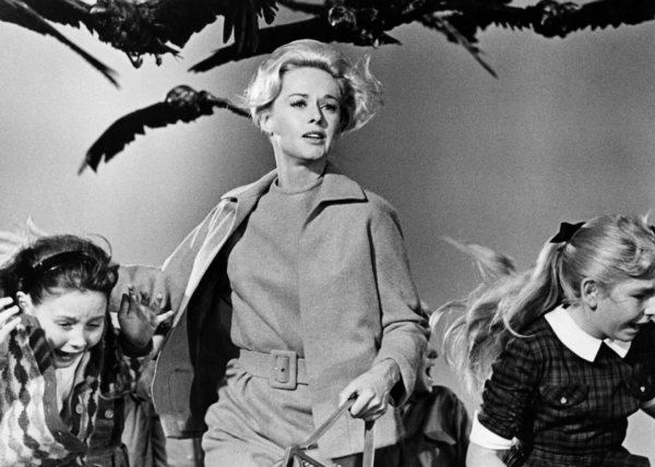 «The Birds»: Το θρυλικό θρίλερ του Alfred Hitchcock γίνεται σειρά στην HBO