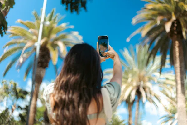 Unsplash
