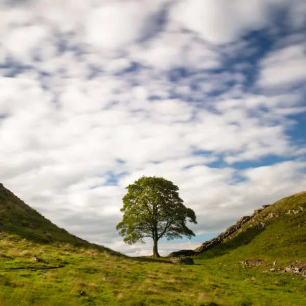 https://www.instagram.com/nationalparksuk/