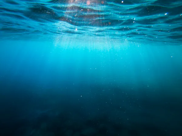 Unsplash