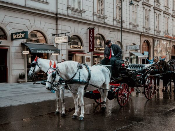 City break στη Βιέννη: Όλα όσα αξίζει να δεις αν έχεις μόνο ένα Σαββατοκύριακο