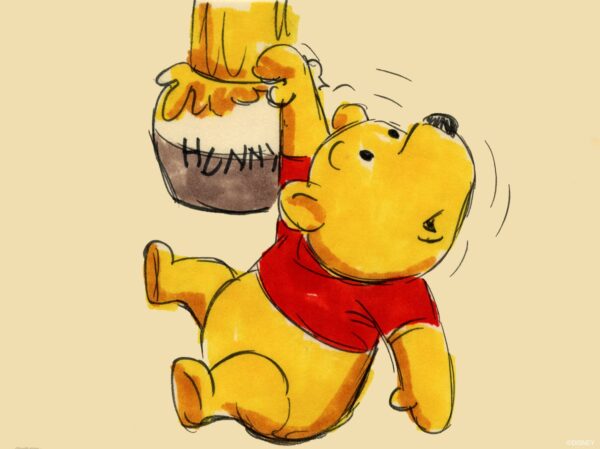 https://www.instagram.com/pooh