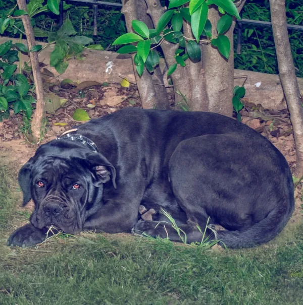 https://www.instagram.com/harryvarthakouris